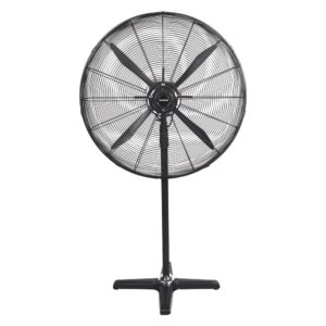 Pedestal Fan with Mister