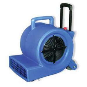 Carpet Dryer