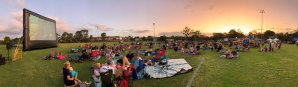 Drive In Cinema 10m x 5m Screen